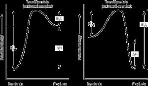 PE diagrams 